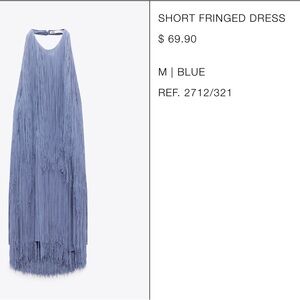 Zara blue fridge dress